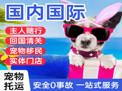 天府空运公司国际宠物托运 【国